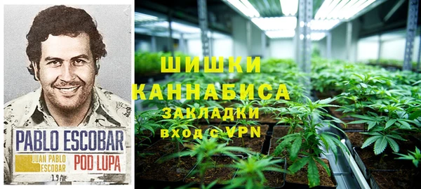 ГАЛЛЮЦИНОГЕННЫЕ ГРИБЫ Абаза