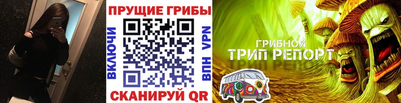 Псилоцибиновые грибы Psilocybe  Калач 